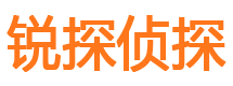 内乡市私家侦探